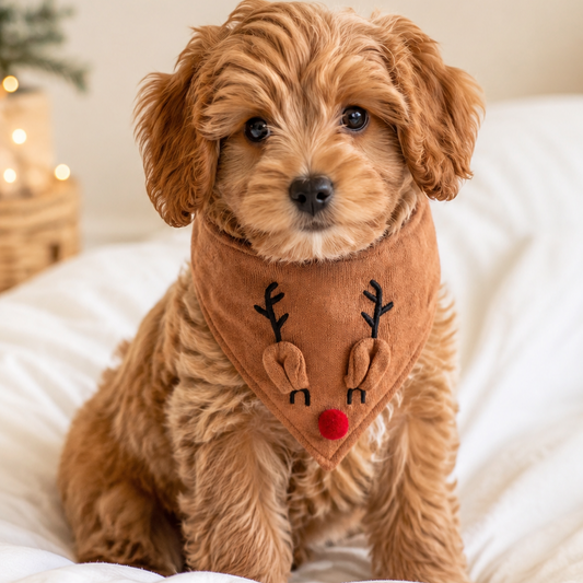 Bandana de Natal para Cachorro em Tricô – Rena